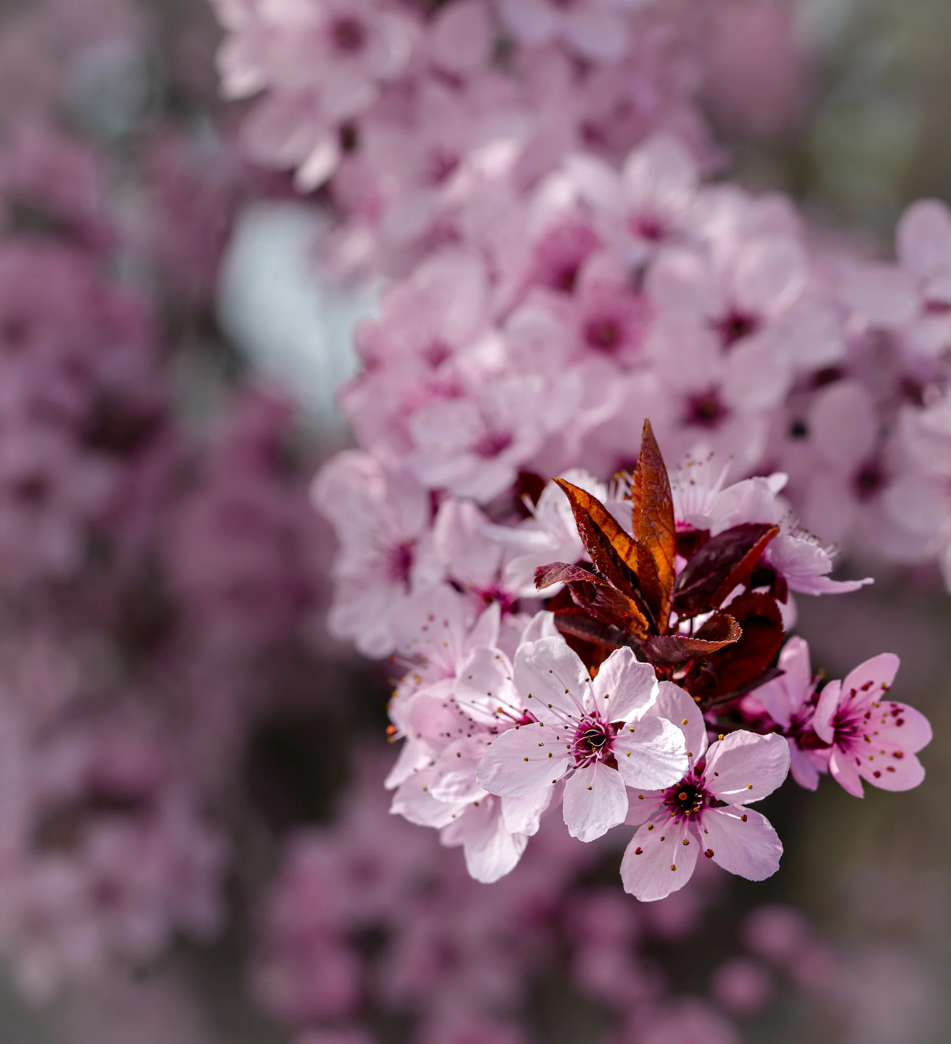Portfolio photography by S.Fischer 3